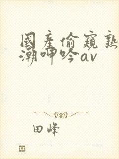 国产偷窥熟妇高潮呻吟av