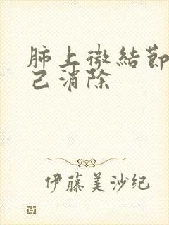 肺上微结节会自己消除