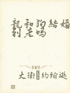 龙和狗结婚能过到老吗封面