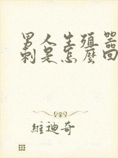 男人生殖器长粉刺是怎么回事