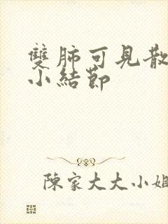 双肺可见散在微小结节封面