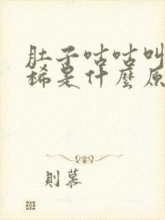 肚子咕咕叫就拉稀是什么原因