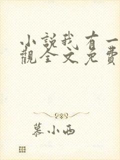 小说我有一剑叶观全文免费阅读