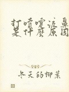 打喷嚏流鼻清水是什么原因封面