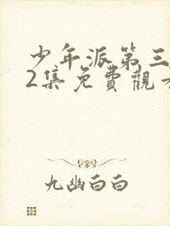 少年派第三部52集免费观看电视剧