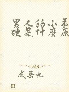 男人的小弟弟不硬是什么原因