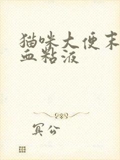 猫咪大便末端带血粘液