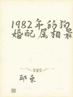 1982年的狗婚配属相最好