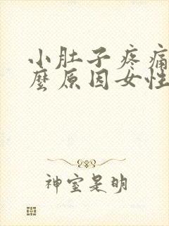 小肚子疼痛是什么原因女性