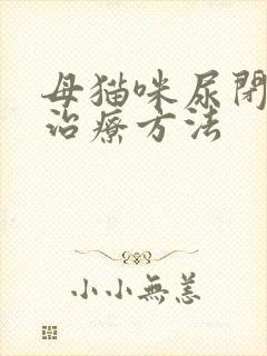 母猫咪尿闭最佳治疗方法