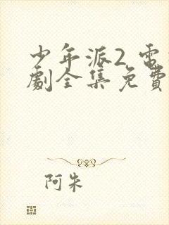 少年派2 电视剧全集免费观看封面