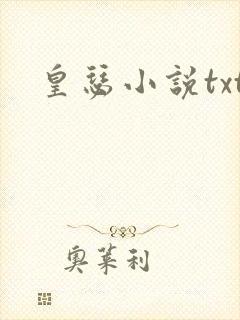 皇瑟小说txt封面