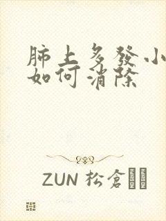 肺上多发小结节如何消除