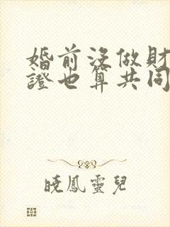 婚前没做财产公证也算共同财产吗封面