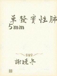 单发实性肺结节5mm