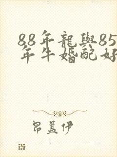 88年龙与85年牛婚配好吗封面
