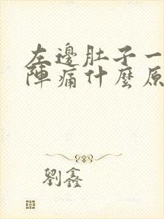 左边肚子一阵一阵痛什么原因