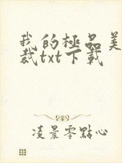 我的极品美女总裁txt下载