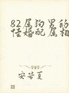 82属狗男的最佳婚配属相