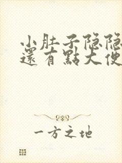 小肚子隐隐疼痛还有点大便的感觉封面