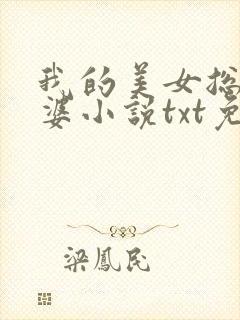 我的美女总裁老婆小说txt免费下载封面