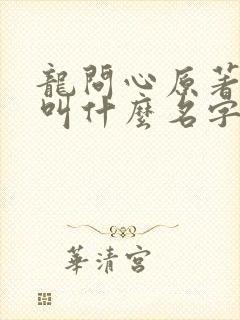 龙问心原著小说叫什么名字封面