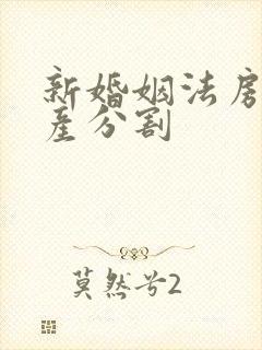 新婚姻法房屋财产分割