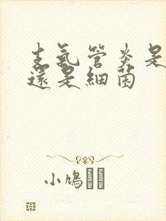 支气管炎是病毒还是细菌