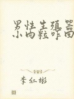 男性生殖器上长小肉粒咋回事