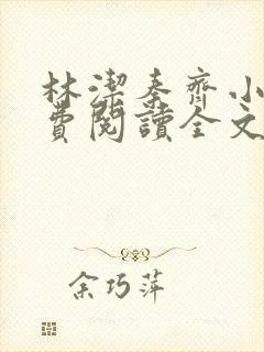 林洁秦齐小说免费阅读全文最新章节