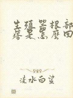 生殖器根部长疙瘩是怎么回事