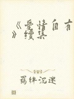 《爱情自有天意》续集封面