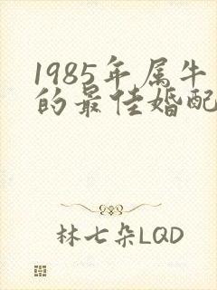 1985年属牛的最佳婚配属相