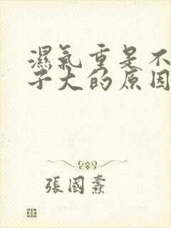 湿气重是不是肚子大的原因封面