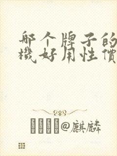 哪个牌子的电视机好用性价比最高