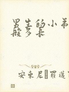 男生的小弟弟一般多长