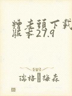 糟老头下载安卓版本27.9