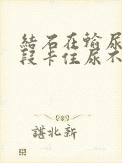 结石在输尿管下段卡住尿不出来怎么办封面