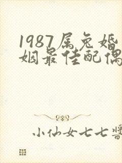 1987属兔婚姻最佳配偶属相