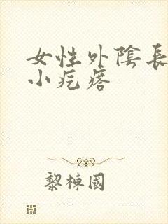 女性外阴长出了小疙瘩