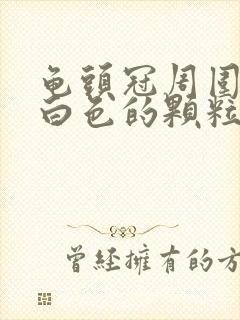 龟头冠周围一圈白色的颗粒封面