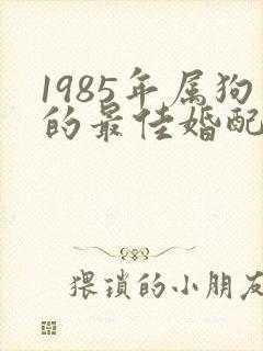 1985年属狗的最佳婚配