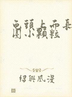 龟头上面长了一圈小颗粒