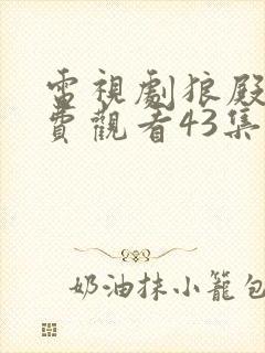 电视剧狼殿下免费观看43集