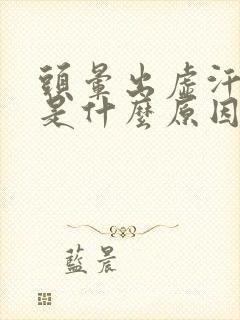 头晕出虚汗恶心是什么原因封面