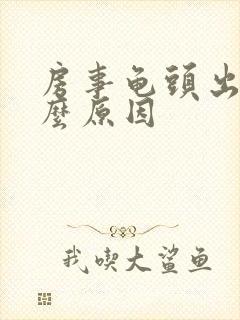 房事龟头出血什么原因