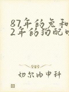 87年的兔和82年的狗配吗