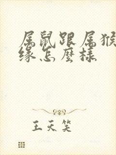 属鼠跟属猴的姻缘怎么样封面