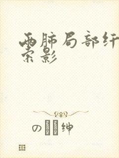 两肺局部纤维条索影封面