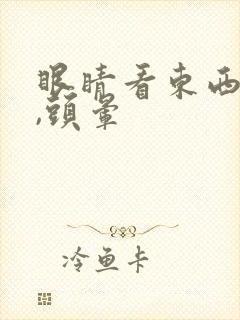 眼睛看东西模糊,头晕